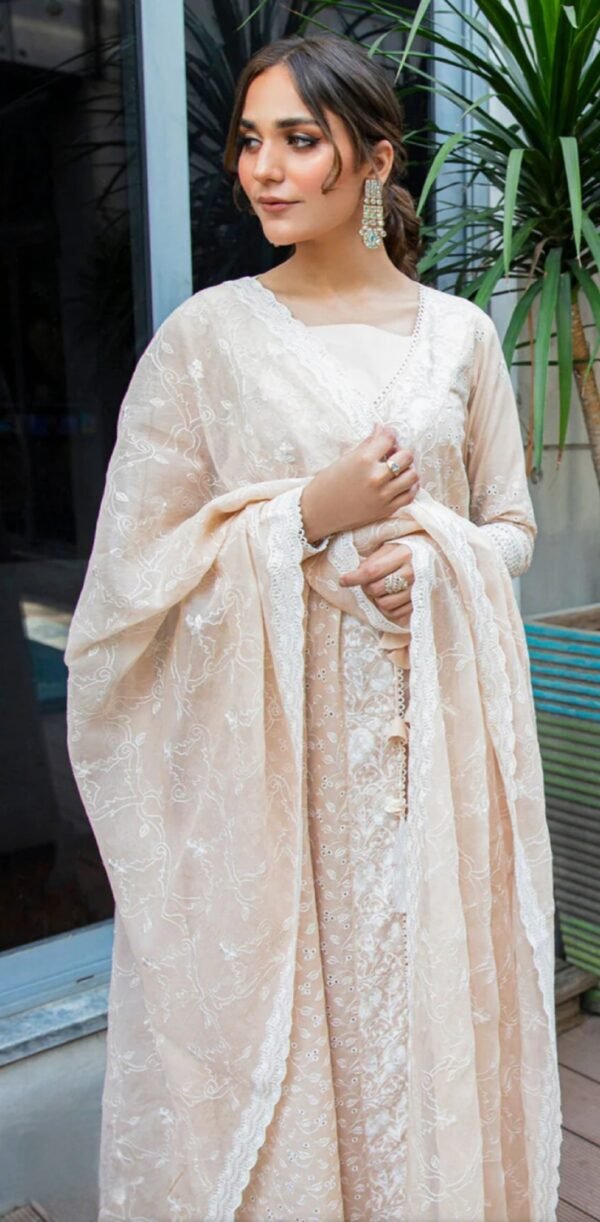 Aik 3PC Stitched LAWN '23 VOL. 2 - LOOK 01 B - Image 2