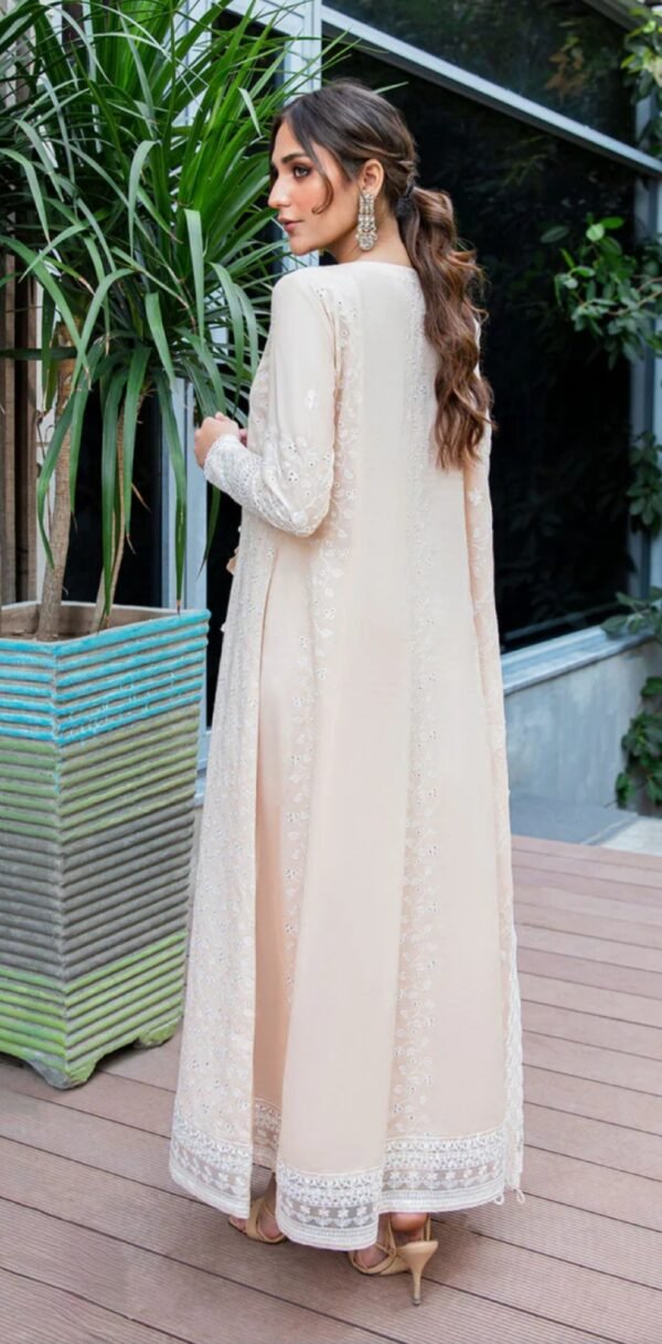 Aik 3PC Stitched LAWN '23 VOL. 2 - LOOK 01 B - Image 3