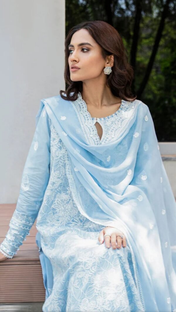 Aik 3PC Stitched LAWN '23 VOL. 2 - LOOK 02 A - Image 3