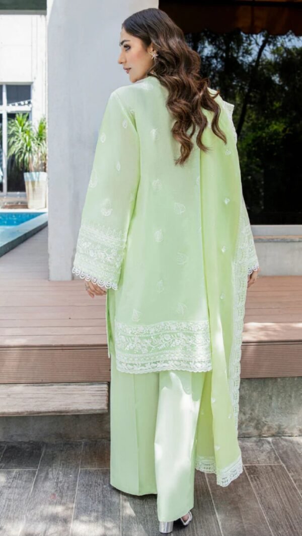 Aik 3PC Stitched LAWN '23 VOL. 2 - LOOK 02 B - Image 2