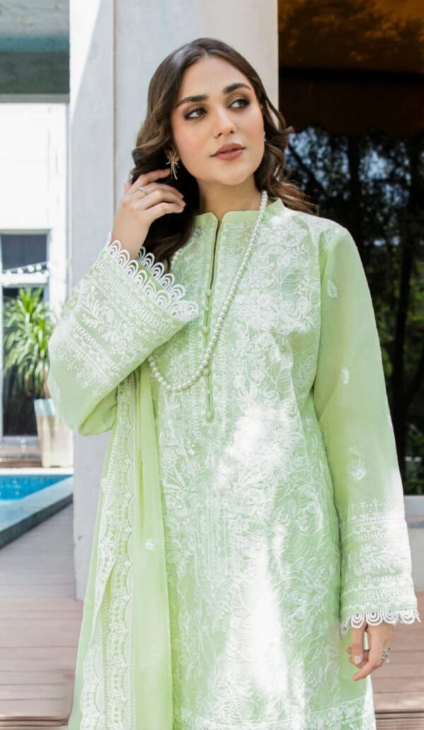 Aik 3PC Stitched LAWN '23 VOL. 2 - LOOK 02 B - Image 3