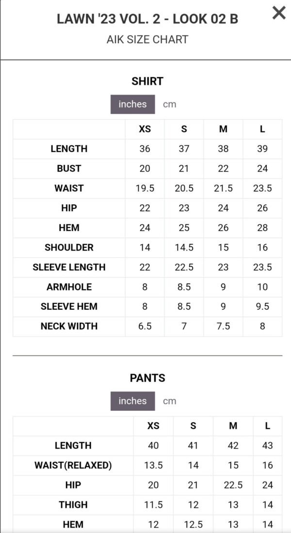 Aik 3PC Stitched LAWN '23 VOL. 2 - LOOK 02 B - Image 4