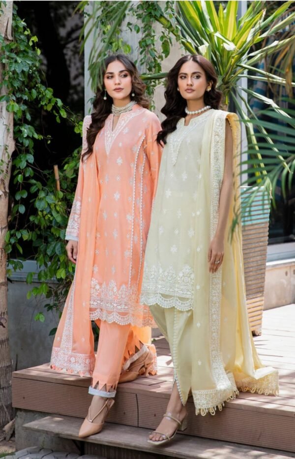 Aik 3PC Stitched LAWN '23 VOL. 2 - LOOK 03 A/B