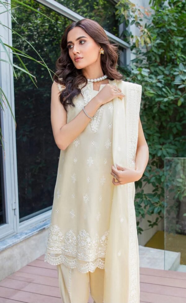 Aik 3PC Stitched LAWN '23 VOL. 2 - LOOK 03 A/B - Image 3