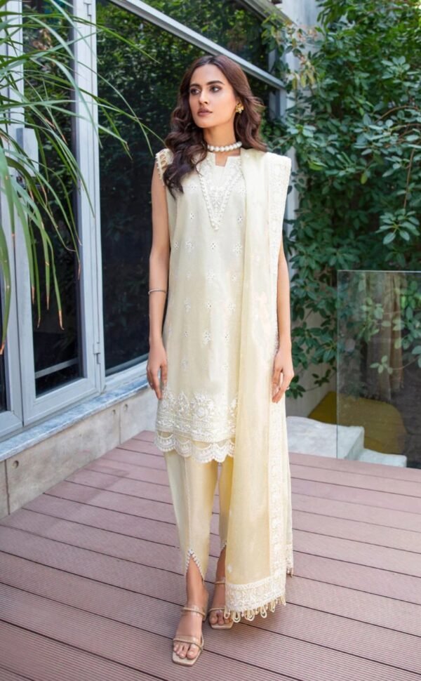 Aik 3PC Stitched LAWN '23 VOL. 2 - LOOK 03 A/B - Image 2