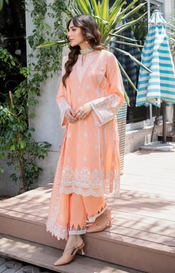 Aik 3PC Stitched LAWN '23 VOL. 2 - LOOK 03 A/B - Image 6