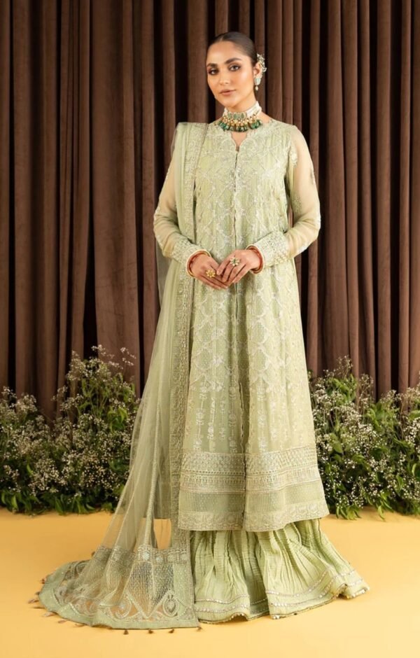 Aik 3PC Stitched  Chiffon Dress LOOK 01