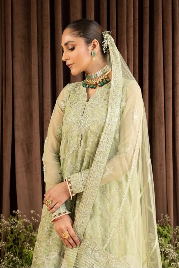 Aik 3PC Stitched  Chiffon Dress LOOK 01 - Image 3