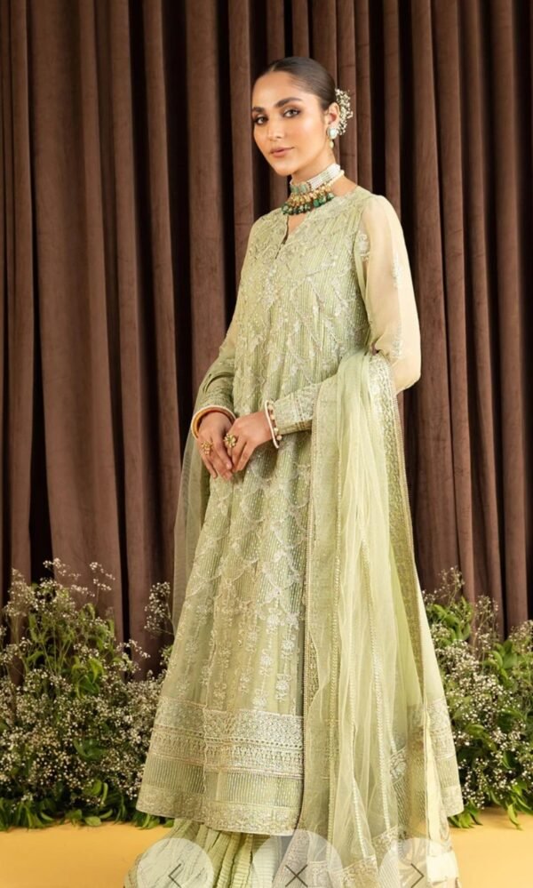 Aik 3PC Stitched  Chiffon Dress LOOK 01 - Image 2