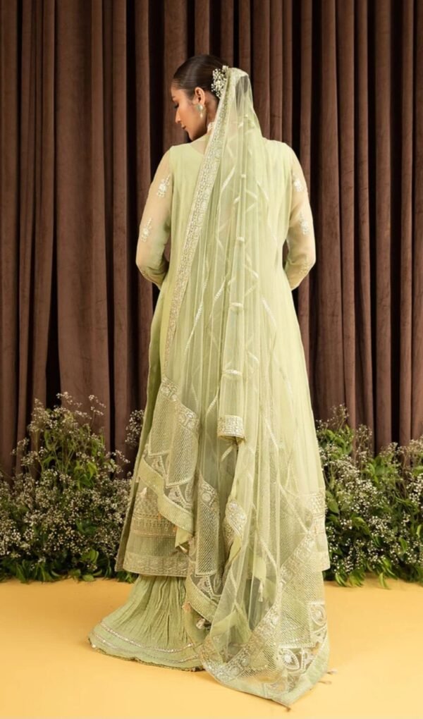 Aik 3PC Stitched  Chiffon Dress LOOK 01 - Image 4
