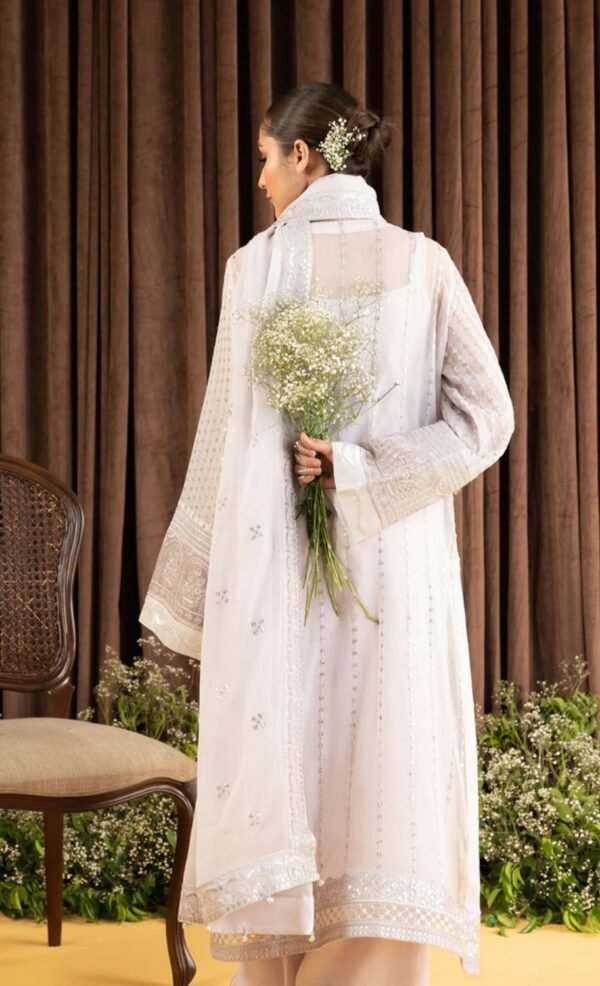 Aik 3PC Stitched Chiffon Dress LOOK 02 - Image 3
