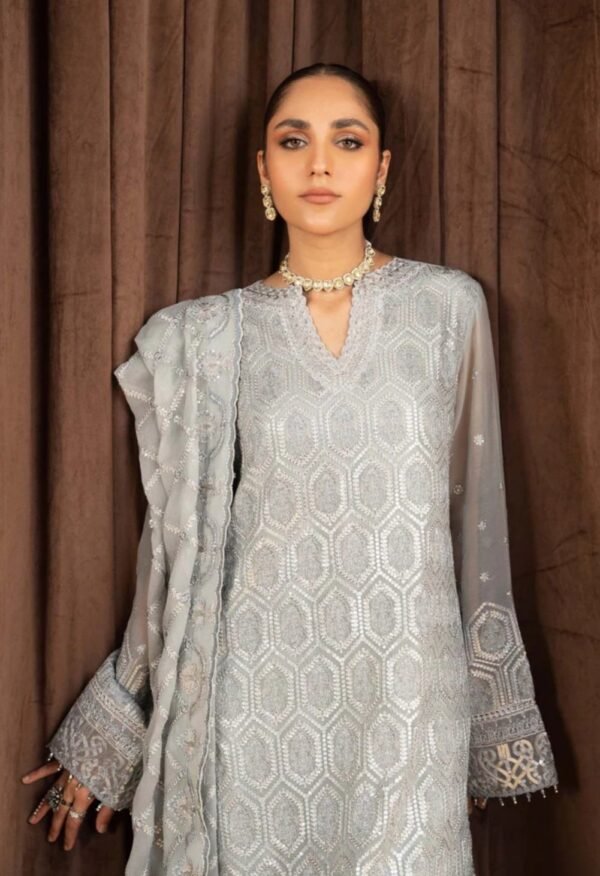 Aik 3PC Stitched Chiffon Dress LOOK 04 - Image 2