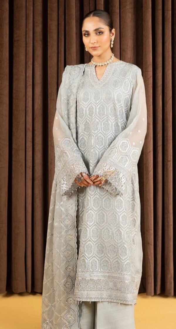Aik 3PC Stitched Chiffon Dress LOOK 04 - Image 3
