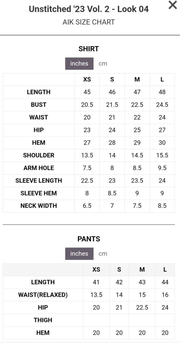 Aik 3PC Stitched Chiffon Dress LOOK 04 - Image 5