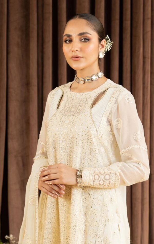 Aik 3PC Stitched Chiffon Dress LOOK 06 - Image 2
