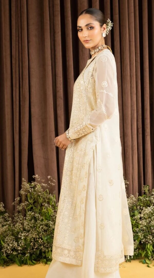 Aik 3PC Stitched Chiffon Dress LOOK 06 - Image 3