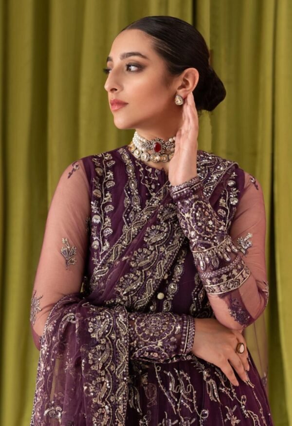 Aik 3PC Stitched Net Dress LOOK 01 - Image 2