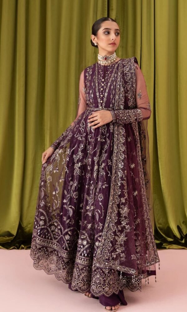 Aik 3PC Stitched Net Dress LOOK 01 - Image 3