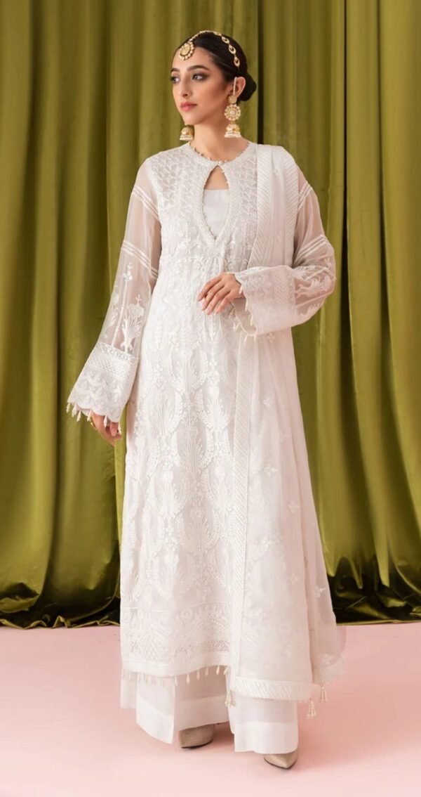 Aik 3PC Stitched Chiffon Dress LOOK 02