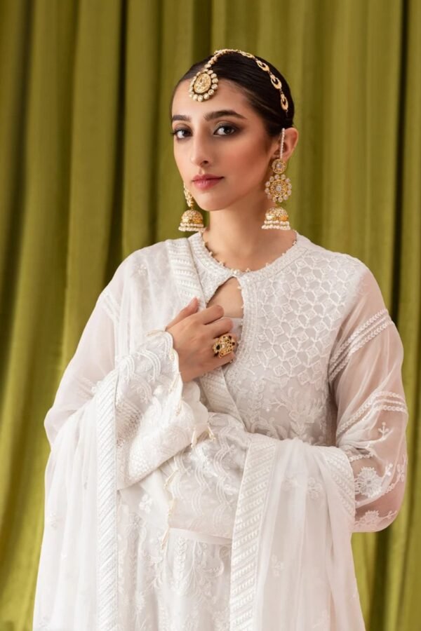 Aik 3PC Stitched Chiffon Dress LOOK 02 - Image 2