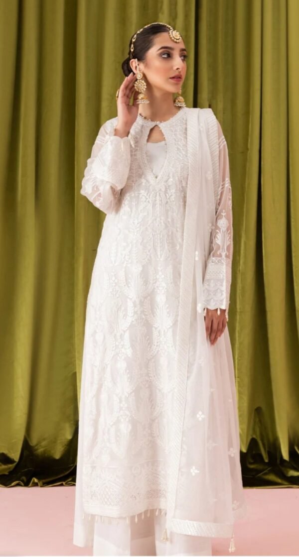 Aik 3PC Stitched Chiffon Dress LOOK 02 - Image 3