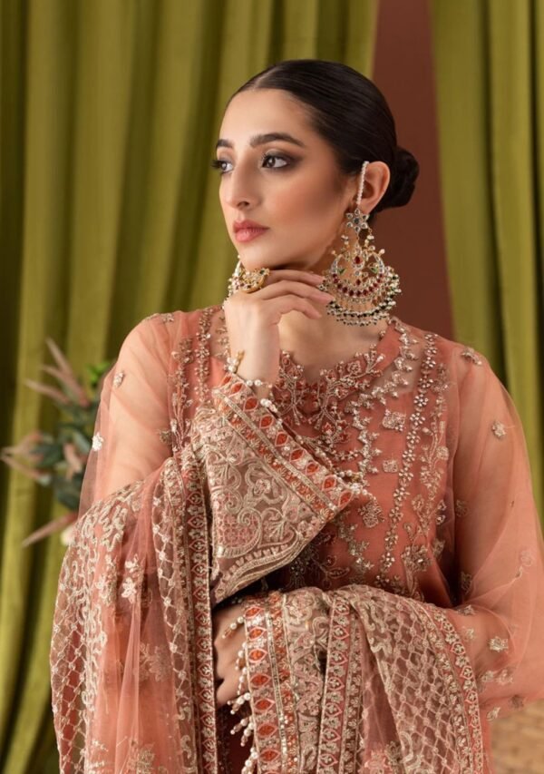 Aik 3PC Stitched Net Dress LOOK 03 - Image 2