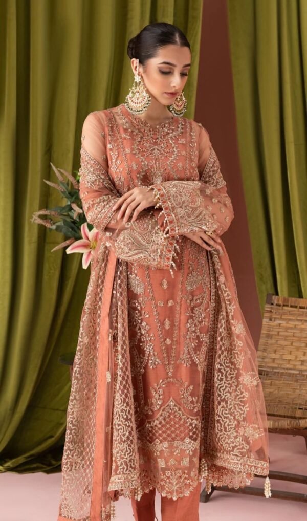Aik 3PC Stitched Net Dress LOOK 03 - Image 3