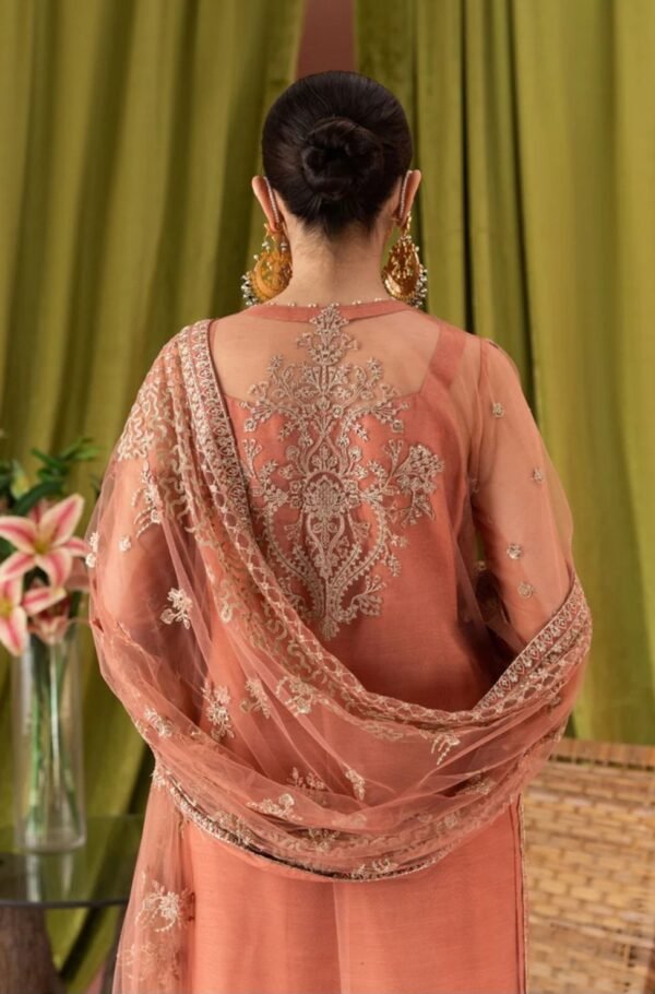 Aik 3PC Stitched Net Dress LOOK 03 - Image 4