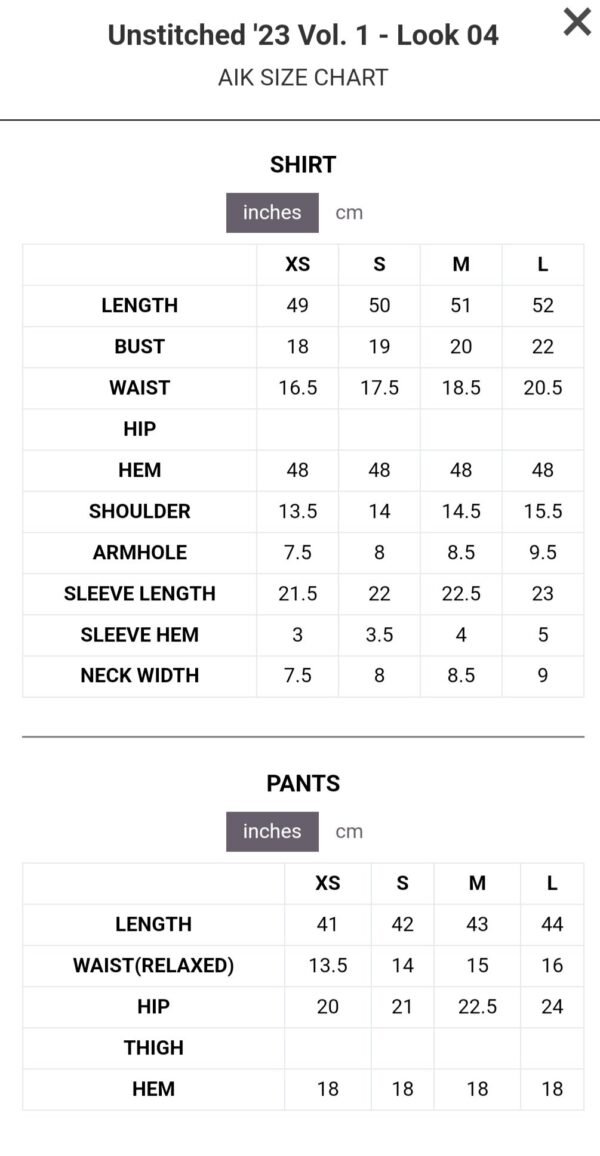 Aik 3PC Stitched Net Dress LOOK 04 - Image 5
