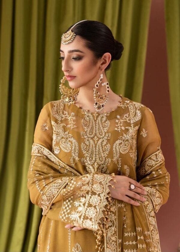 Aik 3PC Stitched Chiffon Dress LOOK 05 - Image 3
