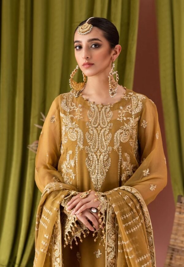 Aik 3PC Stitched Chiffon Dress LOOK 05 - Image 2