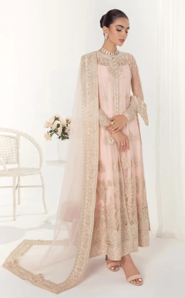 Aik 3PC Stitched Net Dress LOOK 01