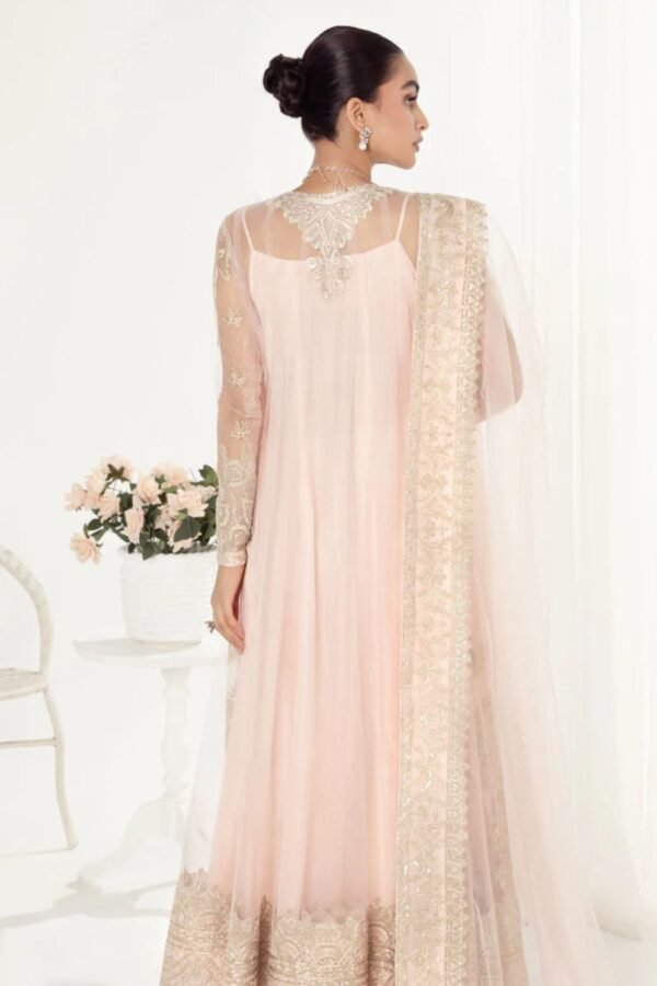 Aik 3PC Stitched Net Dress LOOK 01 - Image 3