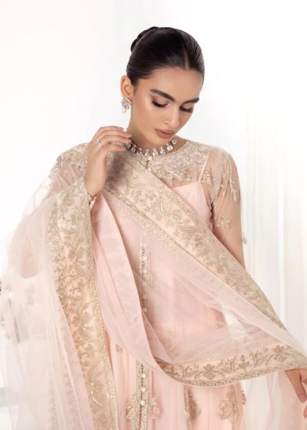 Aik 3PC Stitched Net Dress LOOK 01 - Image 2