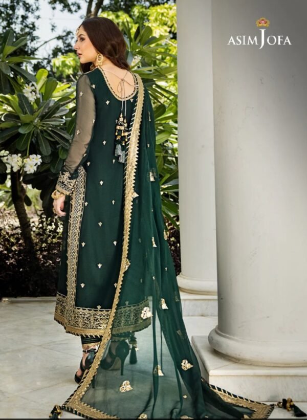 Asim Jofa 3PC Stitched Zari Sitara AJZS-04 - Image 3