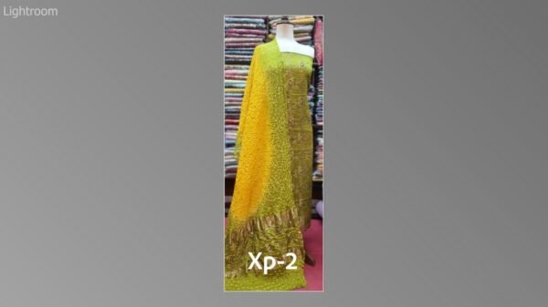 Banarsi bambar chiffon chundri suits-10 - Image 51