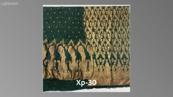 Banarsi bambar chiffon chundri suits-10 - Image 23