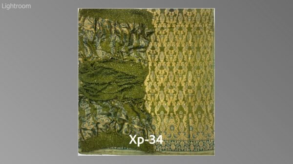 Banarsi bambar chiffon chundri suits-11 - Image 19