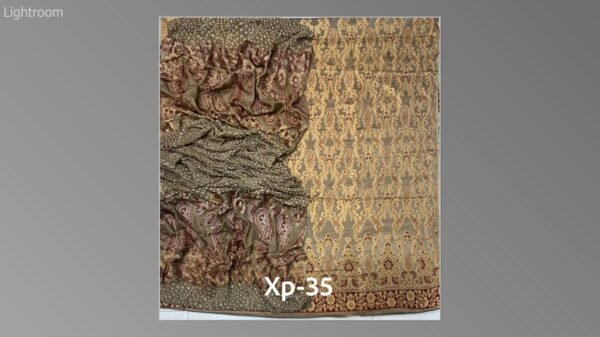 Banarsi bambar chiffon chundri suits-11 - Image 18