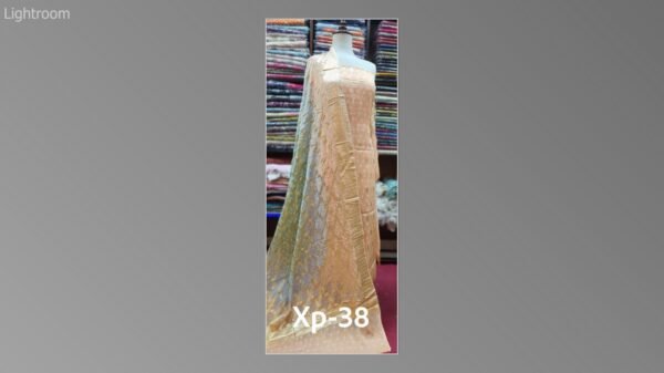 Banarsi bambar chiffon chundri suits-07 - Image 8