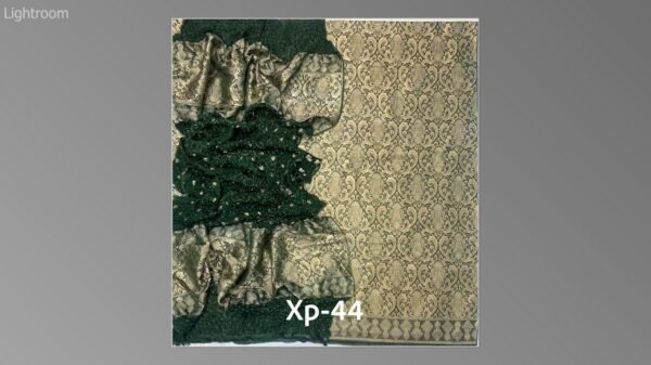 Banarsi bambar chiffon chundri suits-11 - Image 9