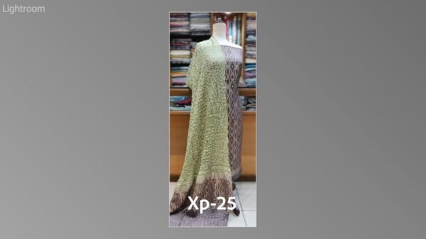 Banarsi bambar chiffon chundri suits-01 - Image 19