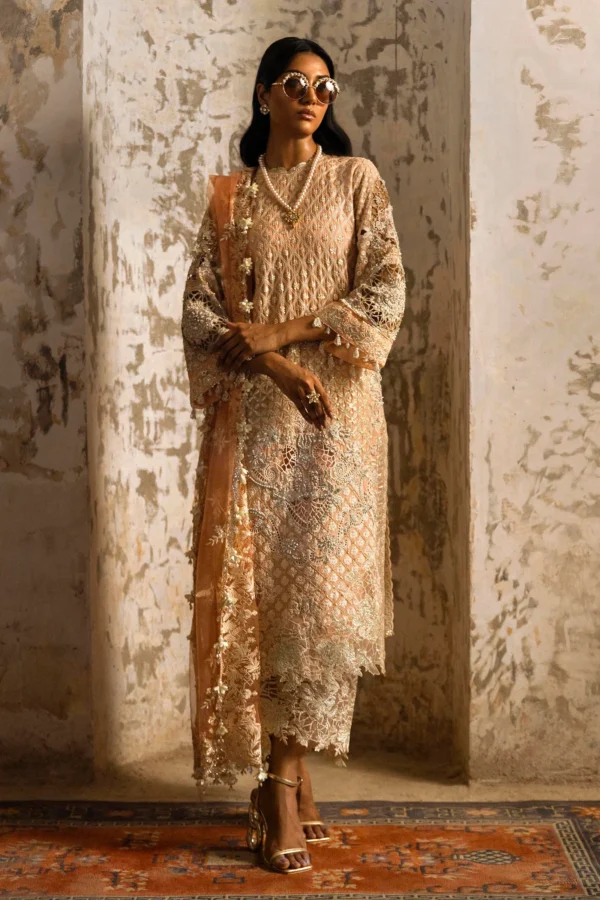 Sana Safinaz Nura Stitched N243-003-C1