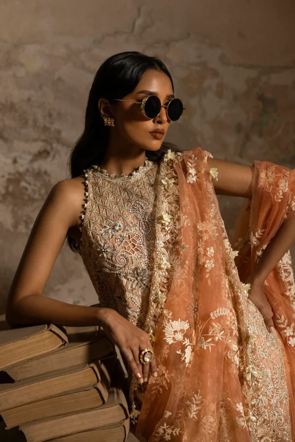 Sana Safinaz Nura Stitched N243-003-C1 - Image 3