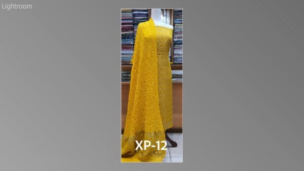 Banarsi bambar chiffon chundri suits-05 - Image 39