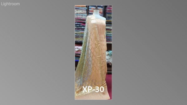 Banarsi bambar chiffon chundri suits-06 - Image 21