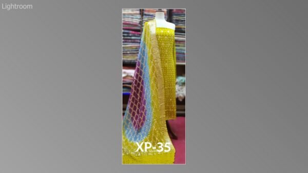 Banarsi bambar chiffon chundri suits-06 - Image 16
